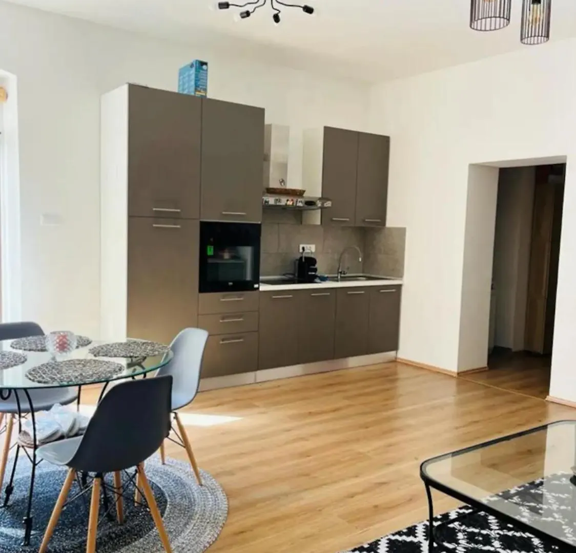 Cosy Apartment Near A River Rijeka